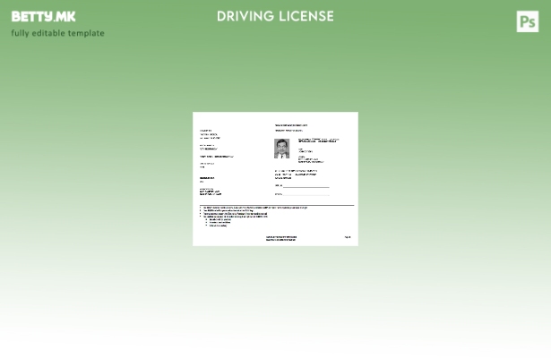 Модерен стил на САД Тексас шаблон за привремена дозвола